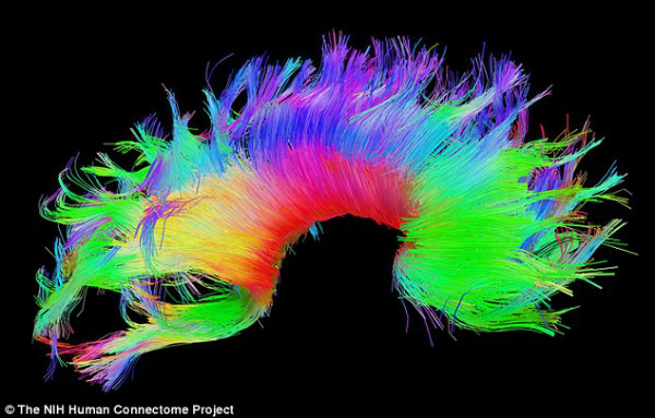 می‌توانند با ساختار مغزی هر فرد به هویتش پی ببرند - دانشمندان می‌توانند با ساختار مغزی هر فرد به هویتش پی ببرند