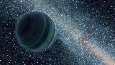 های جدید از احتمال وجود سیاره نهم منظومه شمسی چه می گویند 390x220 - احتمال وجود سیاره نهم منظومه شمسی